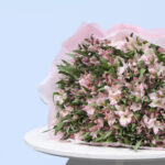 Alluring Pink Alstroemerias 4 4 (161)