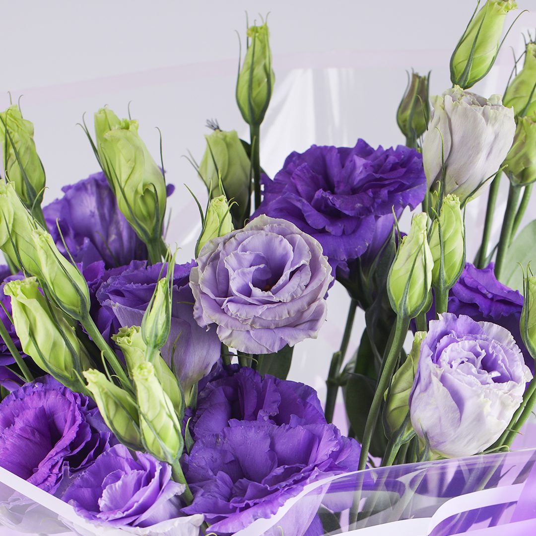 Lisianthus Purple Bouquet Flower Delivery Dubai UAE Lisianthus Purple Bouquet Flower Delivery Dubai UAE