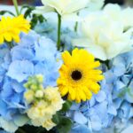 Father's Day Purest Blooms (2)