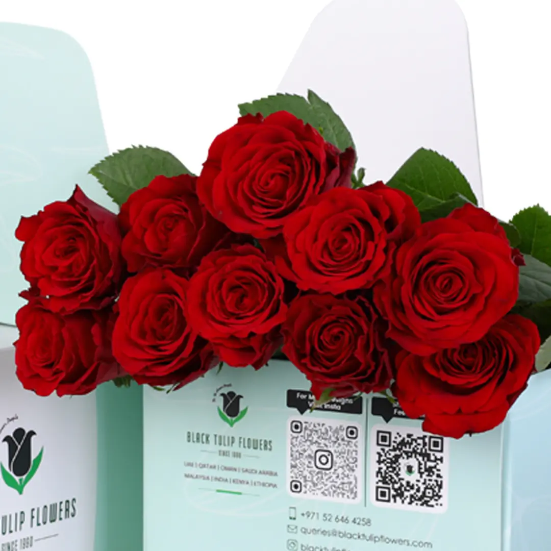 Red Rose Green Box 3