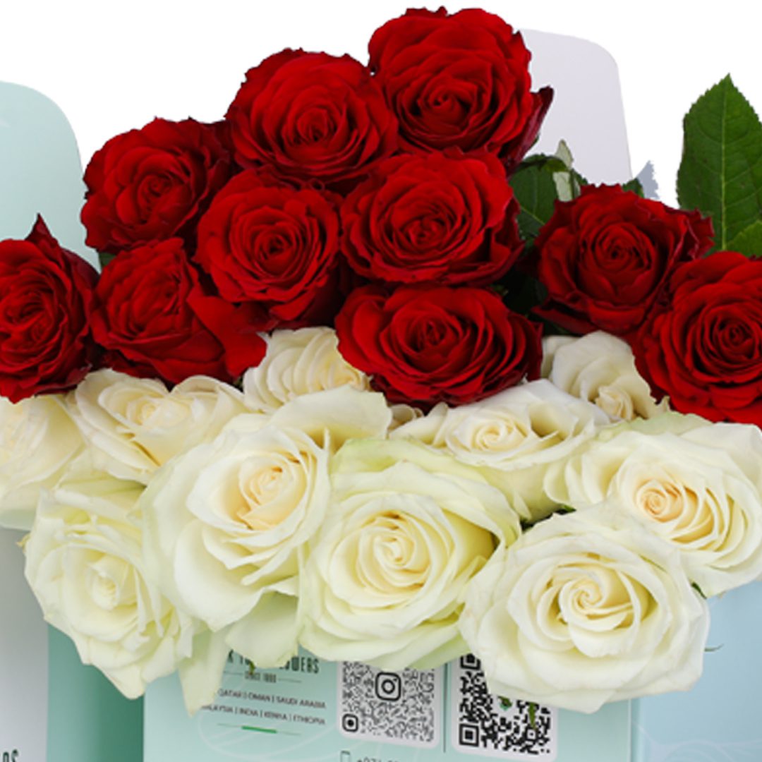 Red and White Rose Green Box 3