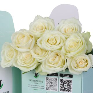Close-up of fresh white roses arranged in a pista green box.