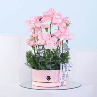 A light pink round box filled with 10 carnations, 10 roses, asparagus, and eucalyptus along with a white ribbon.