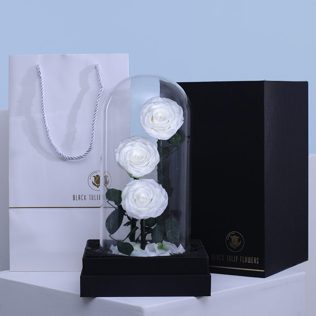White Trio Forever Rose | Preserved 3 White Infinity Roses