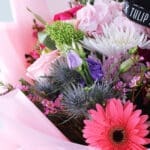 Gerbera Bright Light 2 02