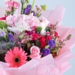 Gerbera Bright Light 3 03
