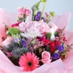 Gerbera Bright Light 4 04