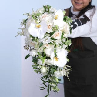 Rivulet White