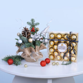 Festive Christmas gift set with a mini Christmas tree and a box of Ferrero Rocher chocolates.
