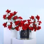 Romantic Blooms Elegant Box 1 01