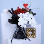 Fall in Love Phalaenopsis with Ferrero 1 01