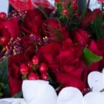 Fall in Love Phalaenopsis with Ferrero 4 05
