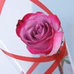 10pcs Classic Pink Charm 3 03
