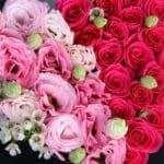 Blooming Treat Box 5 04