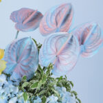 Serene Garden Delight 3 03