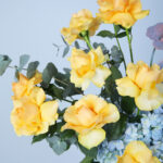 Serene Garden Delight 4 04