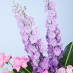 Rose and Hydrangea Basket 4 04