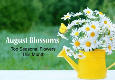 August Blossoms BTF UAE copy1 1