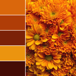 Autumn Flowers Color Palette 411 with hex codes copy