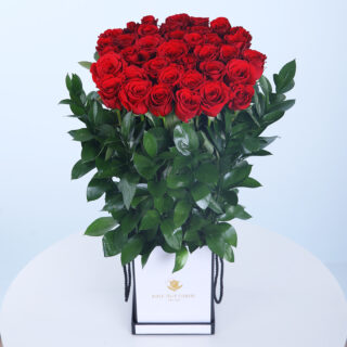 Classic Red Roses