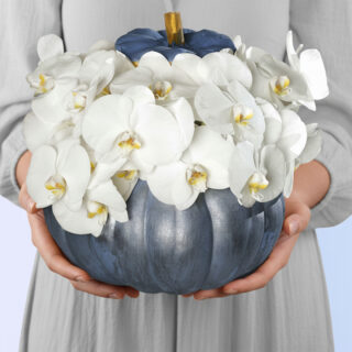 Celebrate Halloween in style with this enchanting orchid arrangement. A shimmering silver pumpkin vase is adorned with a cluster of pristine white orchids, creating a spooky yet sophisticated centerpiece.