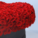 Heart of Red Roses 2 02
