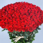 Grand Red Rose Romance 4 02