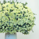 1000 White Roses Grandeur 4 02