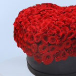 Heart of Red Roses 3 03