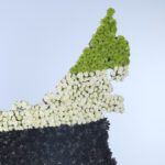 UAE National Day 3 03