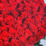 Grand Red Rose Romance 5 03