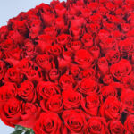 Grand Red Rose Romance 3 04