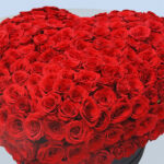 Heart of Red Roses 5 05