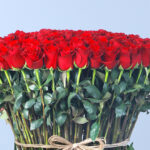 Grand Red Rose Romance 2 05