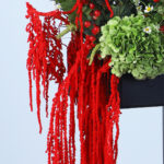 National Day Floral Tribute Box 4 05