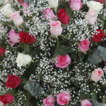 Fresh Pink-White Roses Bouquet 2 05