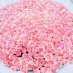 Breathtaking Pink Rose Bouquet 2 02