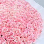 Breathtaking Pink Rose Bouquet 4 03