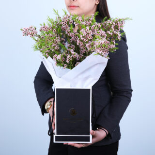 Vibrant Wax Flower Arrangement in Pastel Shades