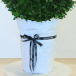 365 Red Roses - Love Every Day 2 02