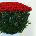 365 Red Roses - Love Every Day 5 03