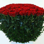 365 Red Roses - Love Every Day 3 05