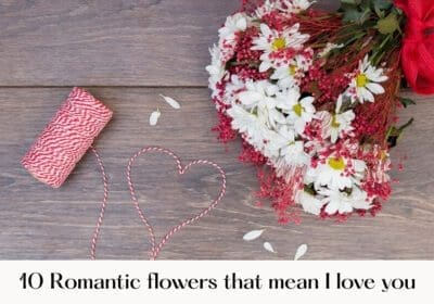 A beautiful arrangement of ten romantic flowers symbolizing love, showcasing vibrant colors and delicate petals.