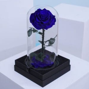 A single, deep blue rose encased in a clear glass dome on a black base.