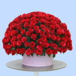 250 Red Rose Luxury Box 1 red roses - pink box