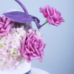 Violet Elegance 2 02