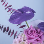 Violet Elegance 3 03