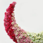 Crescent Rose Decor 4 04