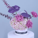 Violet Elegance 4 04