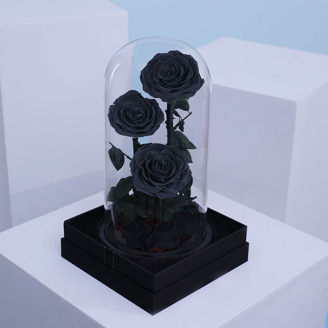 Black Preserved 3 Roses delivery in dubai arround UAE